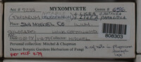 Image Associated With the Occurence